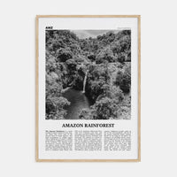 Amazon Rainforest Poster Natural Wood / 8x12 in Nbourhood Travel B&W Poster