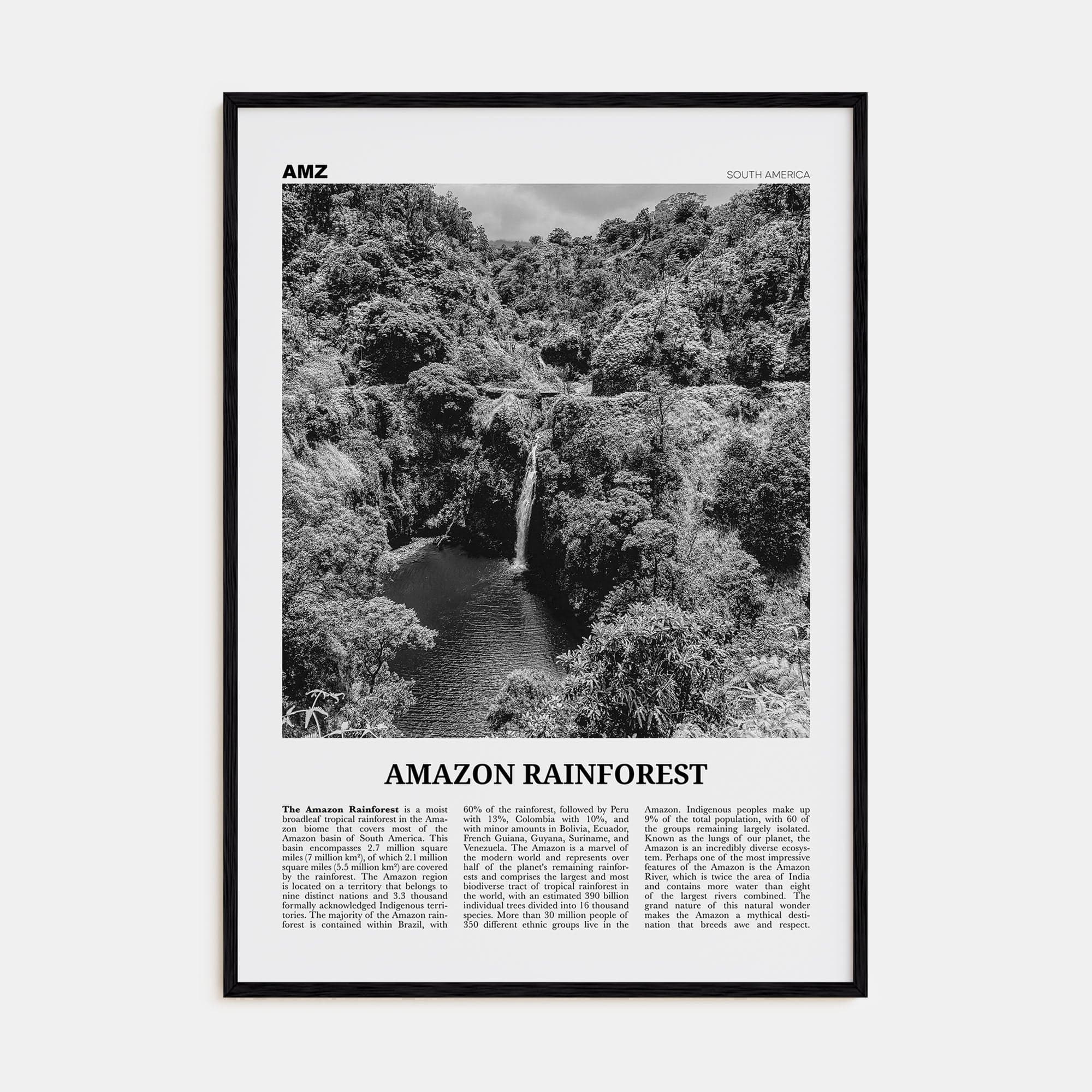 Amazon Rainforest Poster Black Wood / 8x12 in Nbourhood Travel B&W Poster