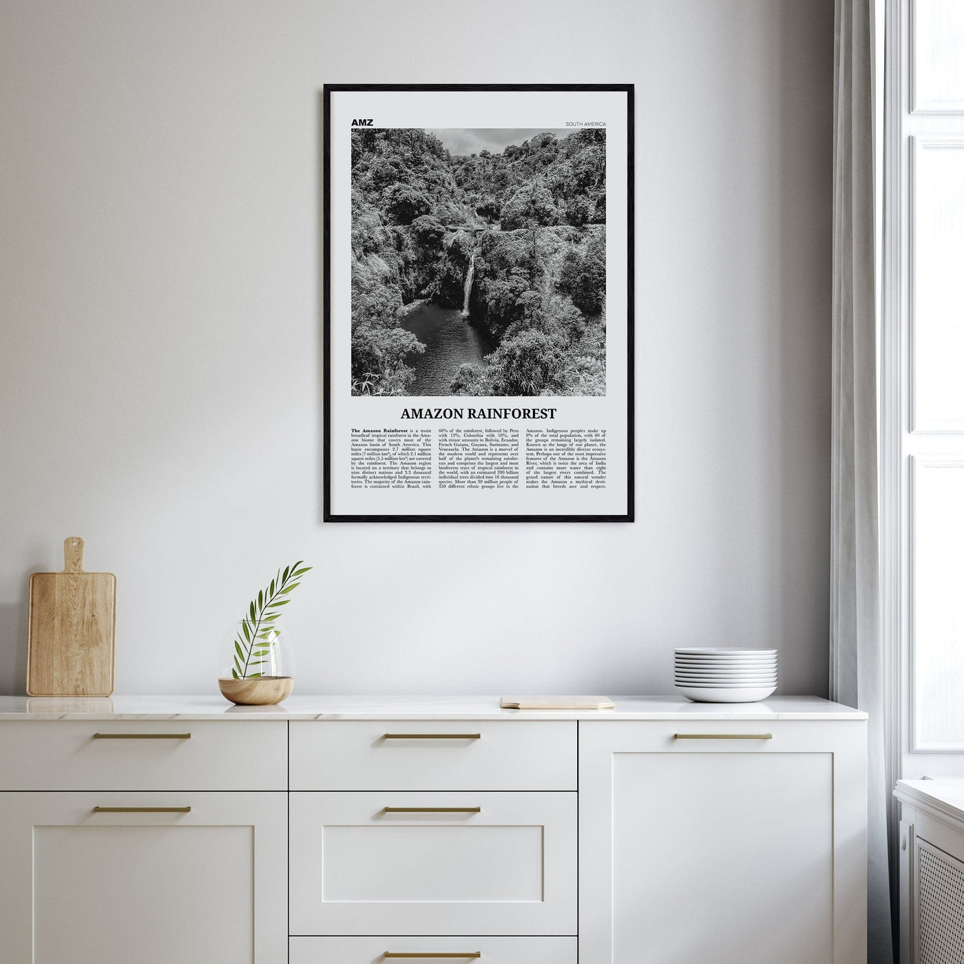 Amazon Rainforest Poster Nbourhood Travel B&W Poster