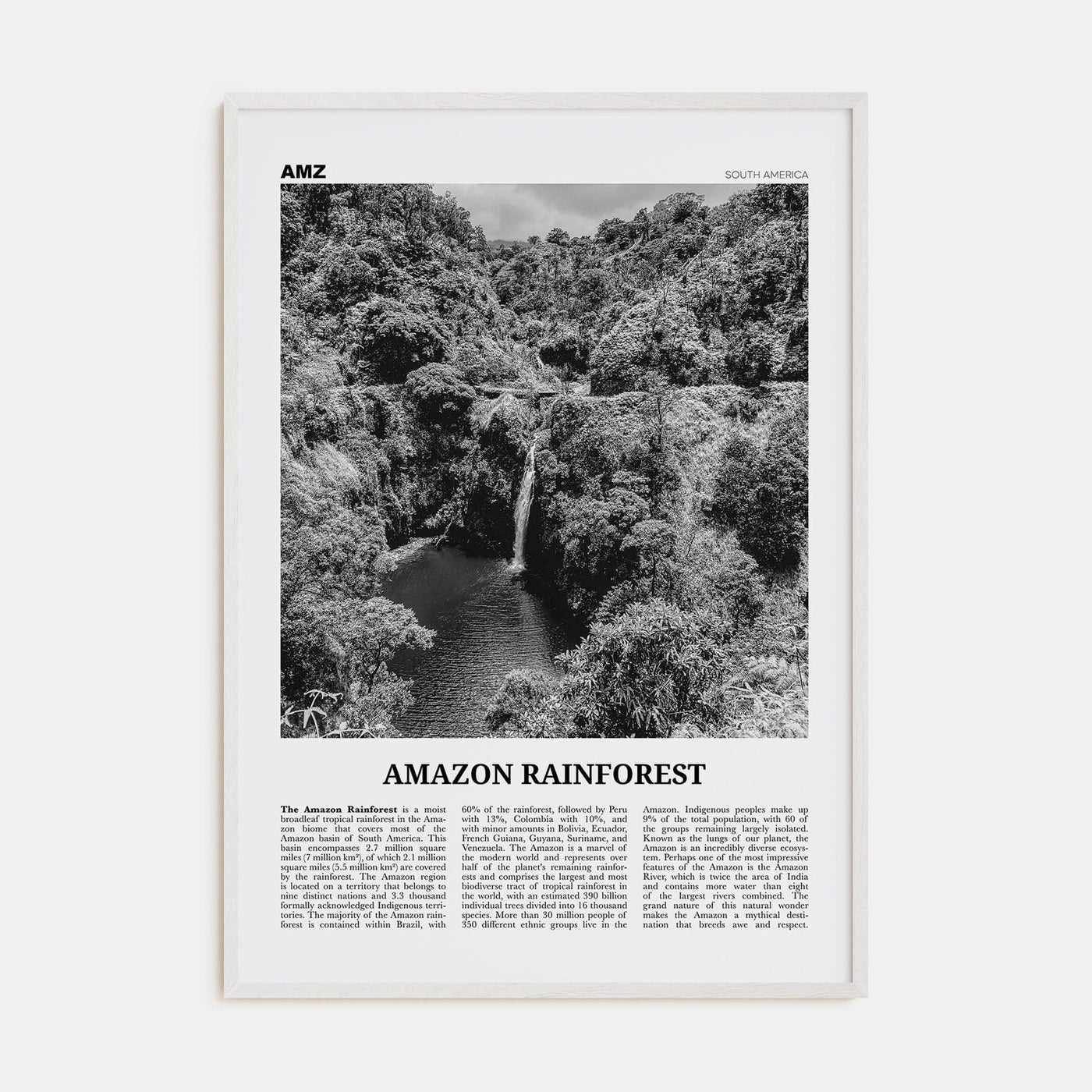 Amazon Rainforest Poster White Wood / 8x12 in Nbourhood Travel B&W Poster