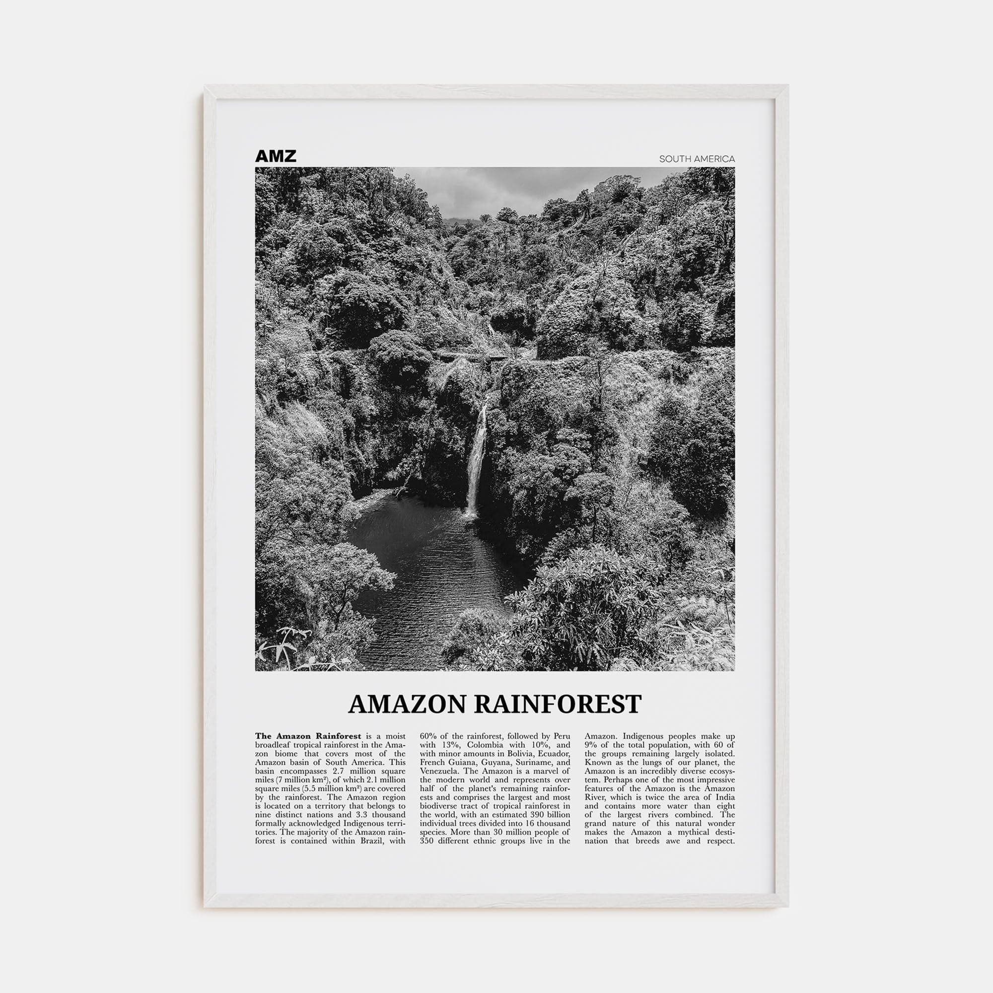 Amazon Rainforest Poster White Wood / 8x12 in Nbourhood Travel B&W Poster