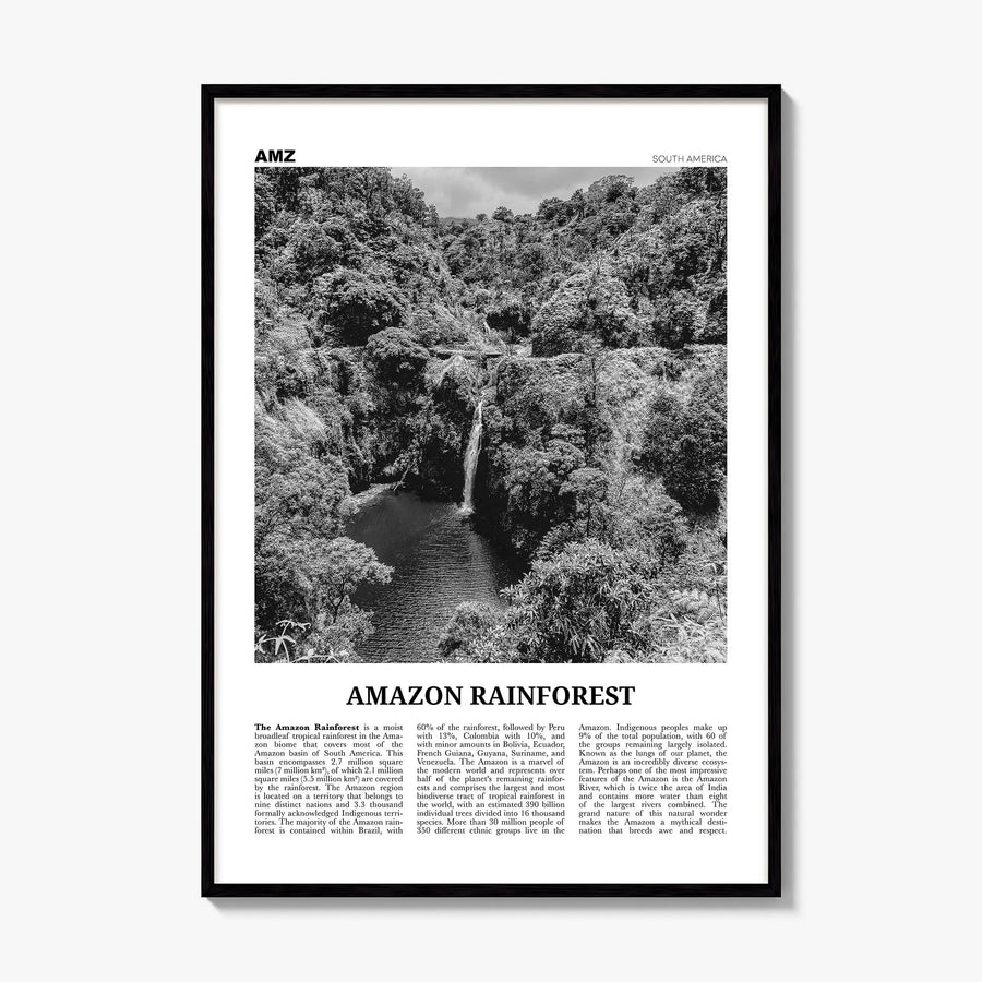 Amazon Rainforest Newspaper Poster, framed poster mockup