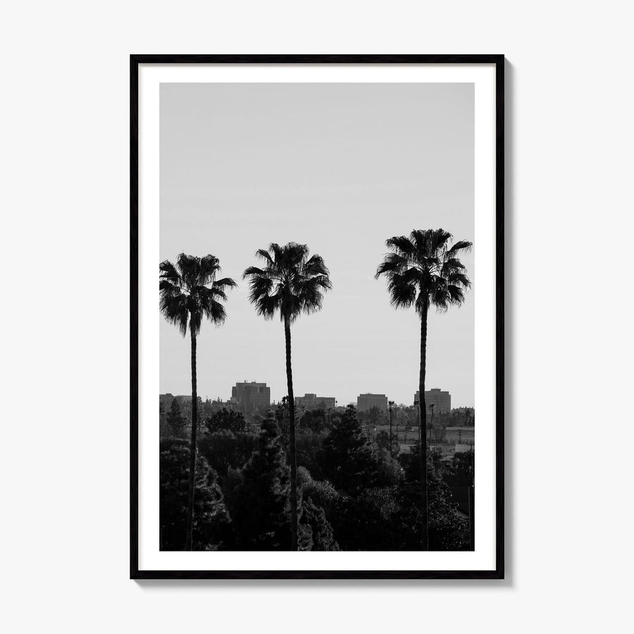 Anaheim Photo Poster, framed poster mockup, white border