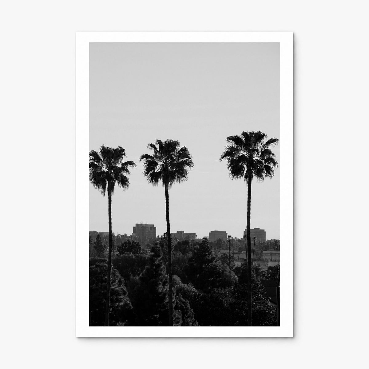 Anaheim Photo Poster, print only (unframed), white border