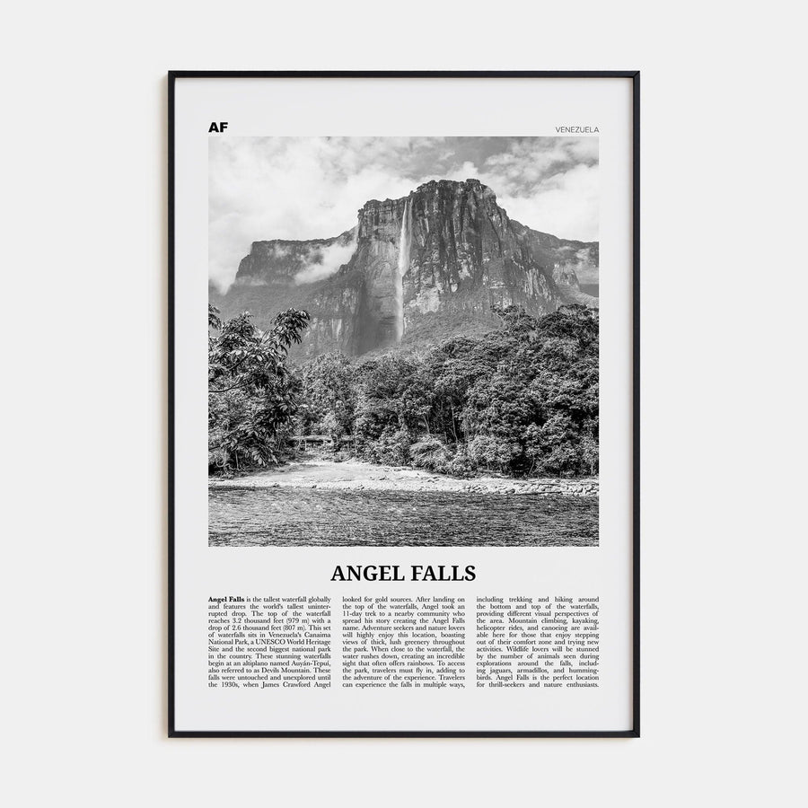 Angel Falls Poster None / 8x12 in Nbourhood Travel B&W Poster