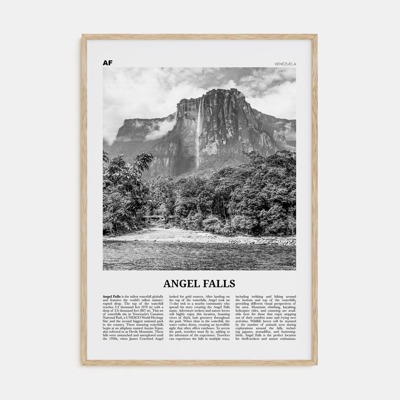 Angel Falls Poster Natural Wood / 8x12 in Nbourhood Travel B&W Poster