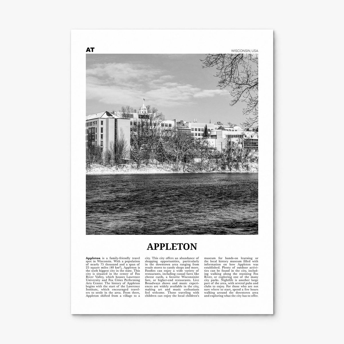 Appleton Newspaper Poster, print only (unframed)