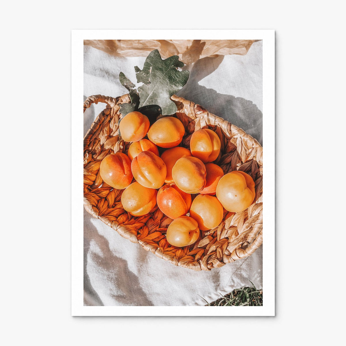 Apricots Photo Poster, print only (unframed), white border