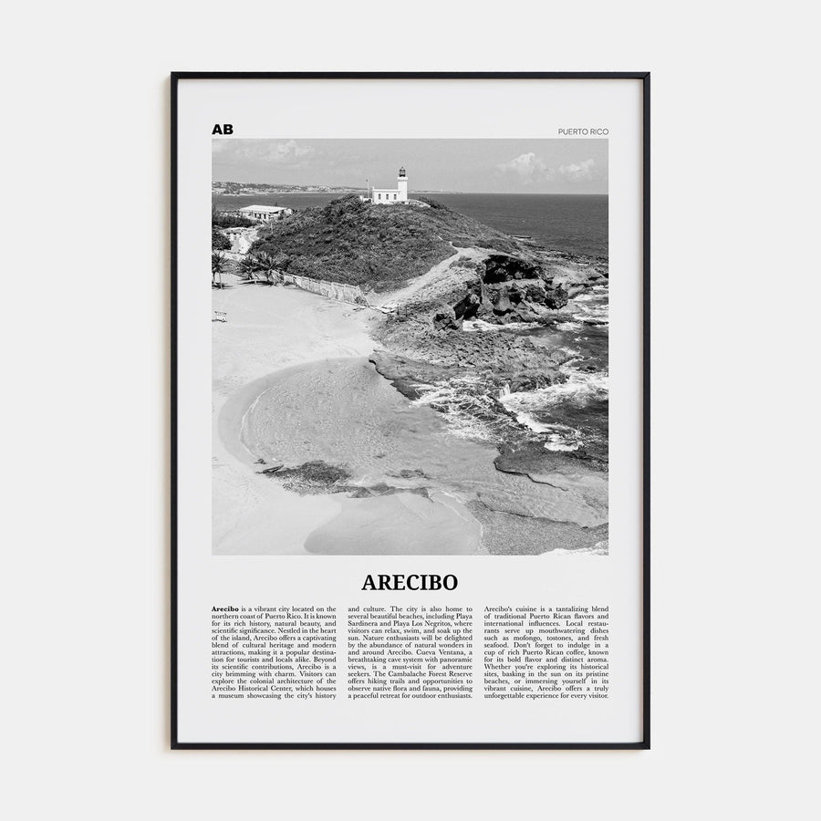 Arecibo No 1 Poster None / 8x12 in Nbourhood Travel B&W Poster