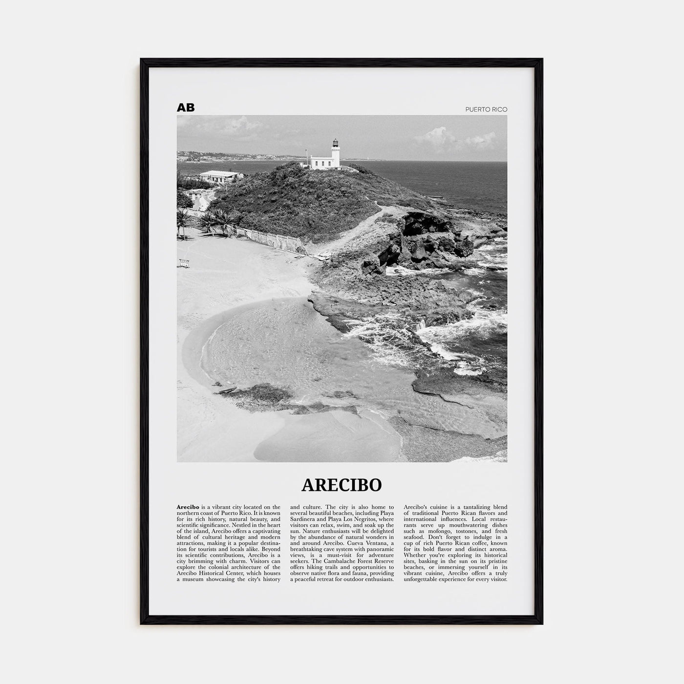 Arecibo No 1 Poster Black Wood / 8x12 in Nbourhood Travel B&W Poster