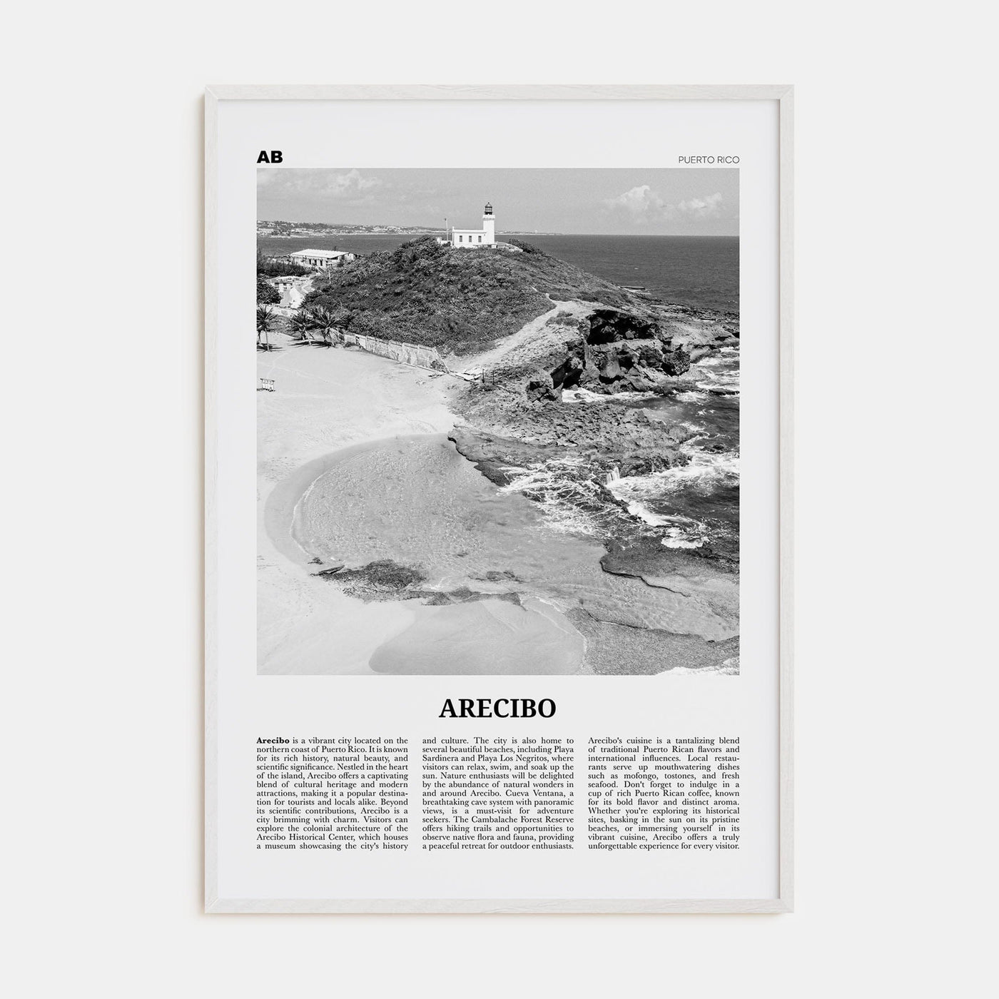 Arecibo No 1 Poster White Wood / 8x12 in Nbourhood Travel B&W Poster