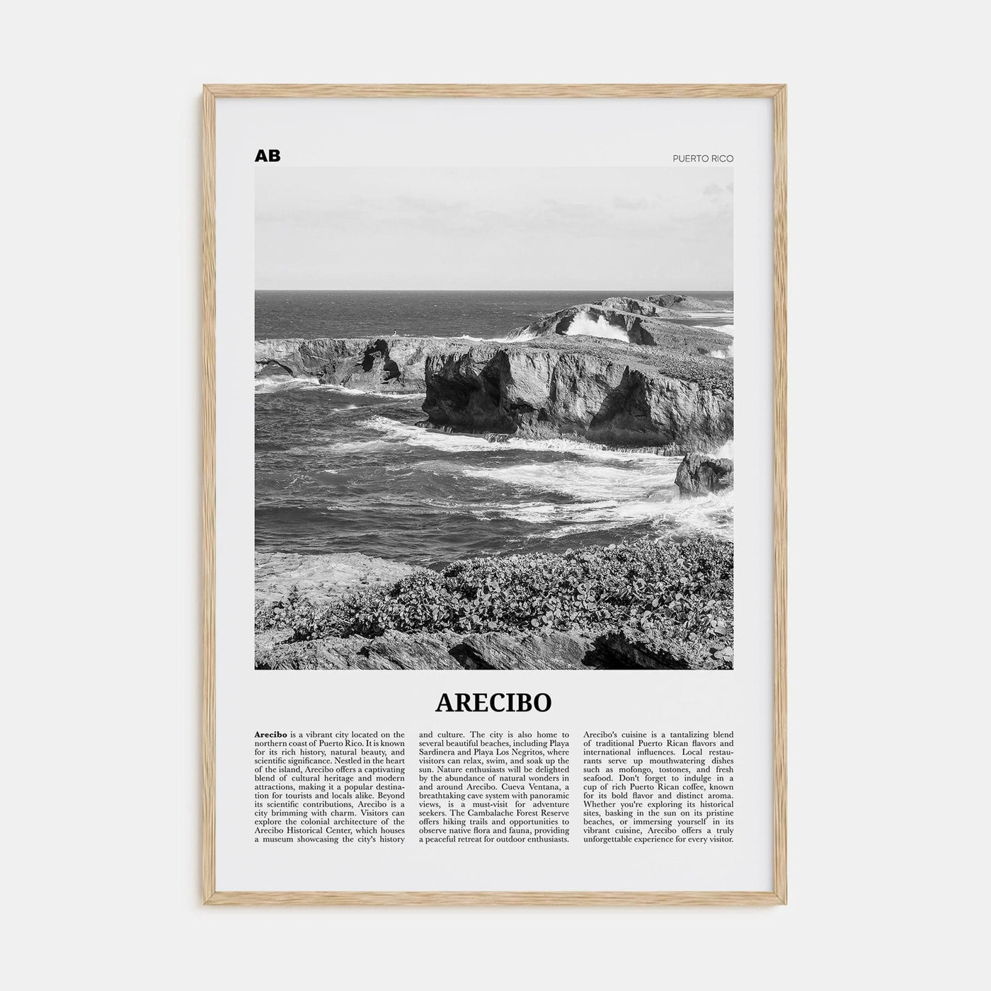 Arecibo No 2 Poster Natural Wood / 8x12 in Nbourhood Travel B&W Poster