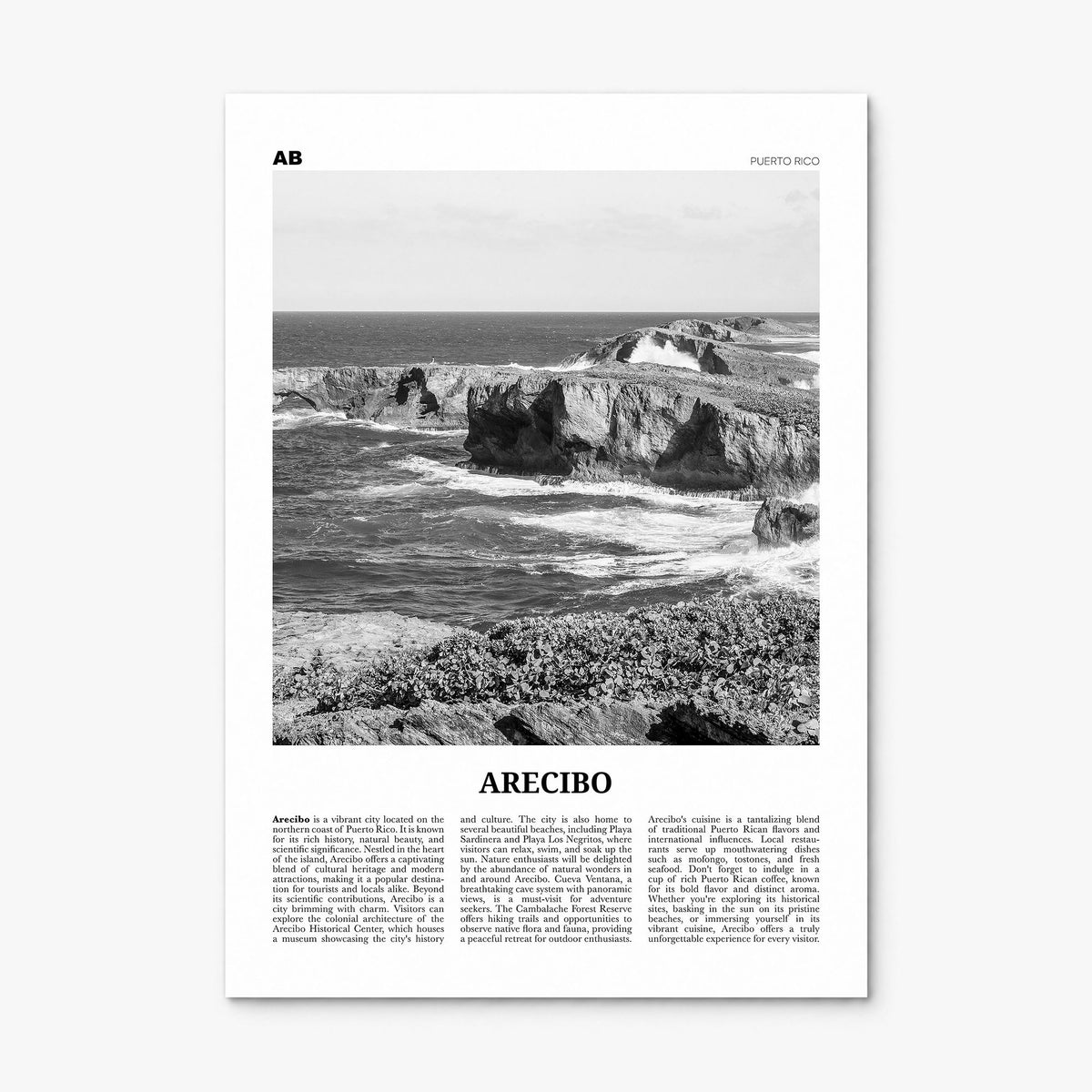 Arecibo Newspaper No 2 Poster, print only (unframed)