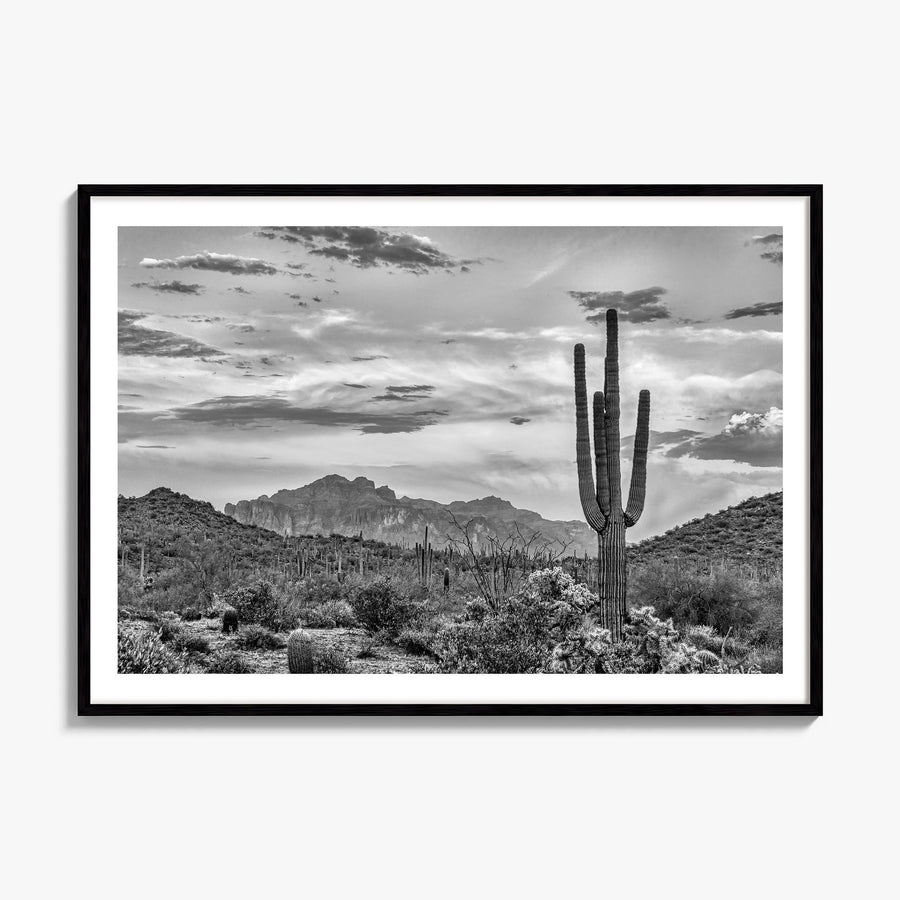 Arizona Photo No 2 Poster, framed poster mockup, white border