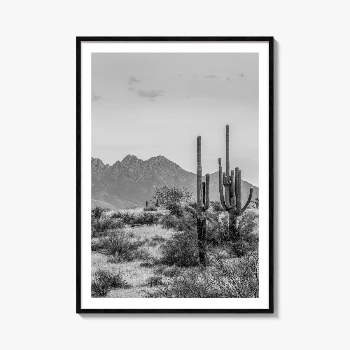 Arizona no. 1 black & white photo poster of United States – vertical wall art, unframed print shown in interior mockup
