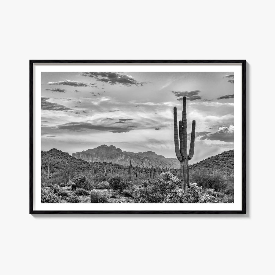 Arizona no. 2 black & white photo poster of United States – horizontal wall art, unframed print shown in interior mockup