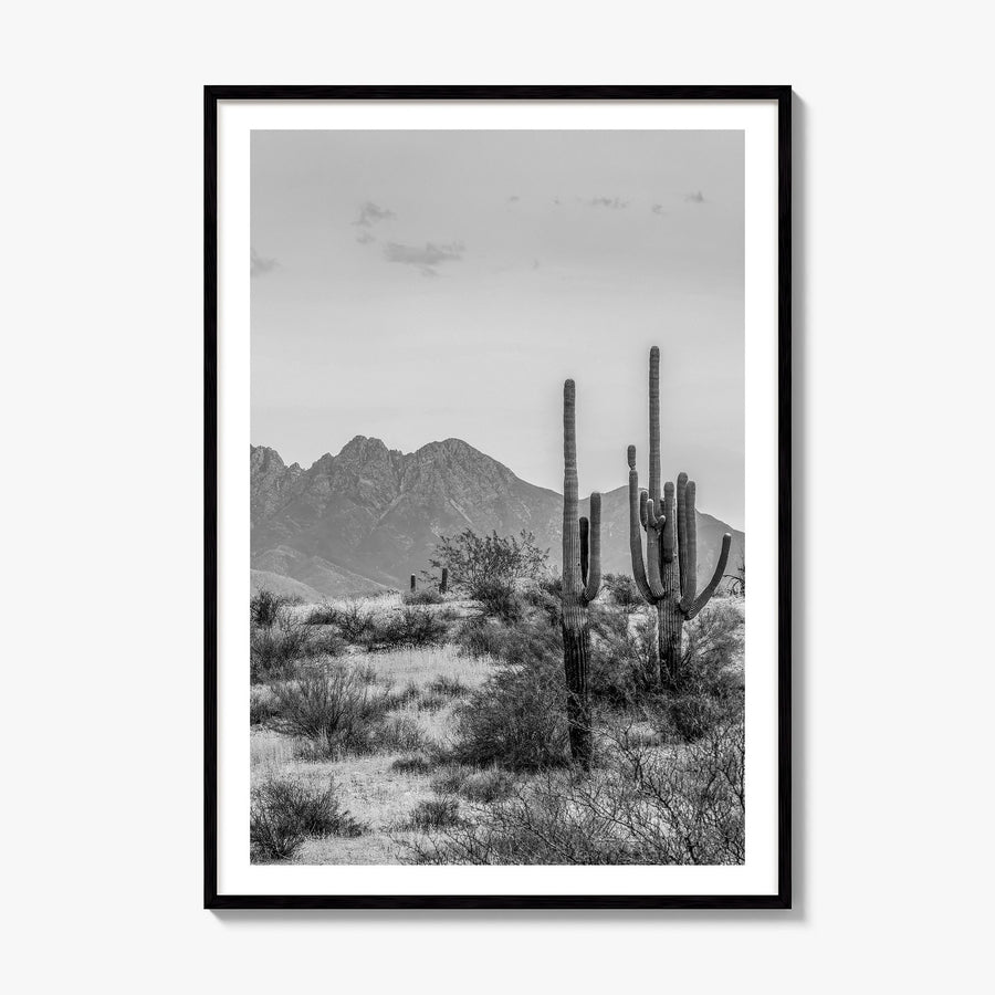 Arizona Photo No 1 Poster, framed poster mockup, white border