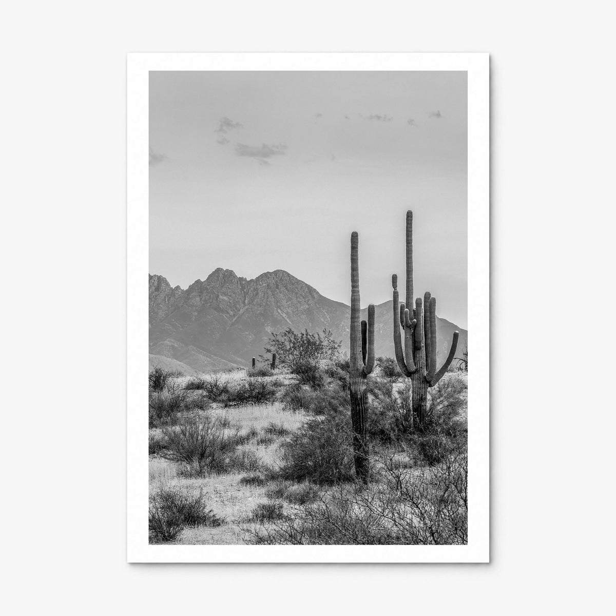 Arizona Photo No 1 Poster, print only (unframed), white border