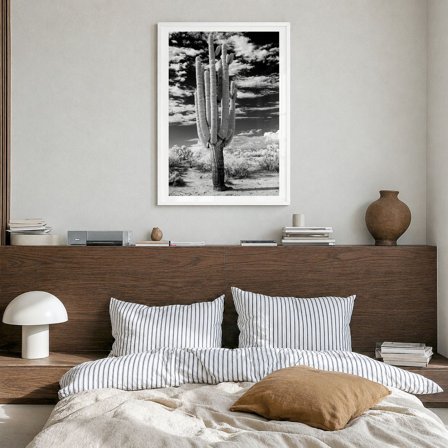 Arizona Photo No 2 Poster in a white wood frame, hanging in a bedroom, white border