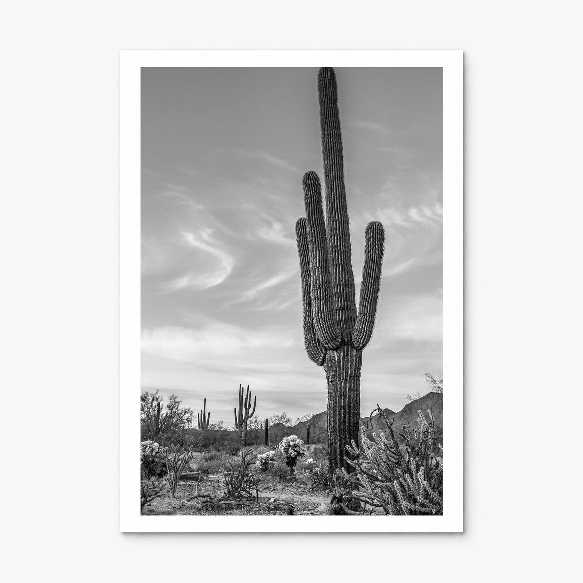 Arizona Photo No 5 Poster, print only (unframed), white border
