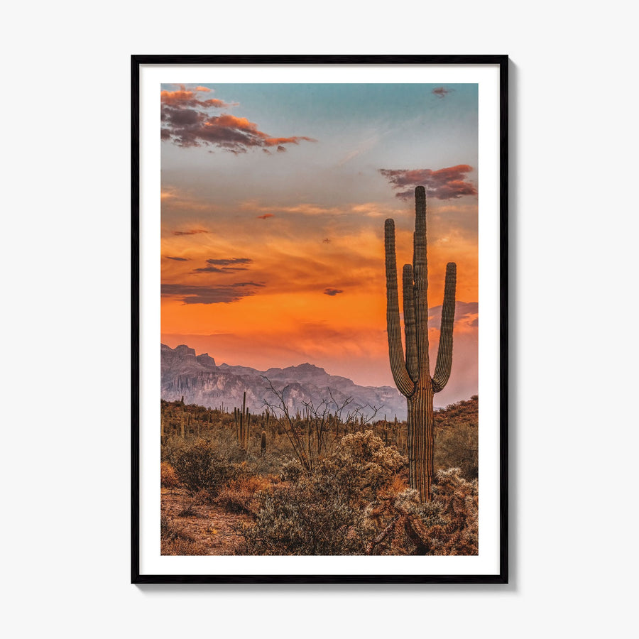 Arizona Photo No 1 Poster, framed poster mockup, white border