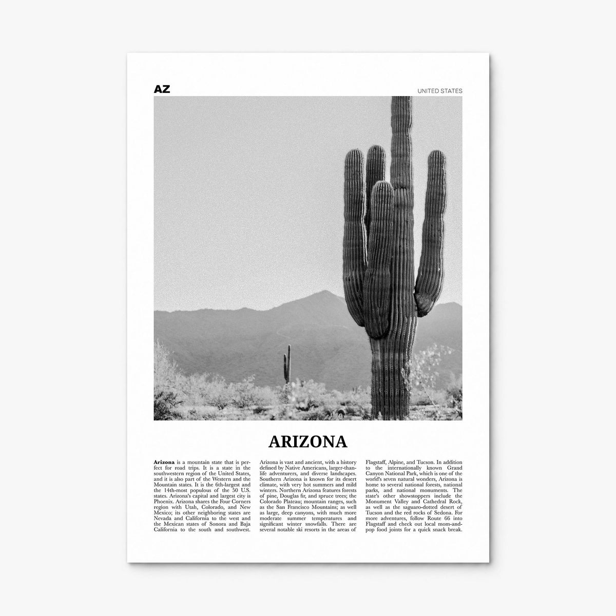 Arizona Newspaper No 1 Poster, print only (unframed)