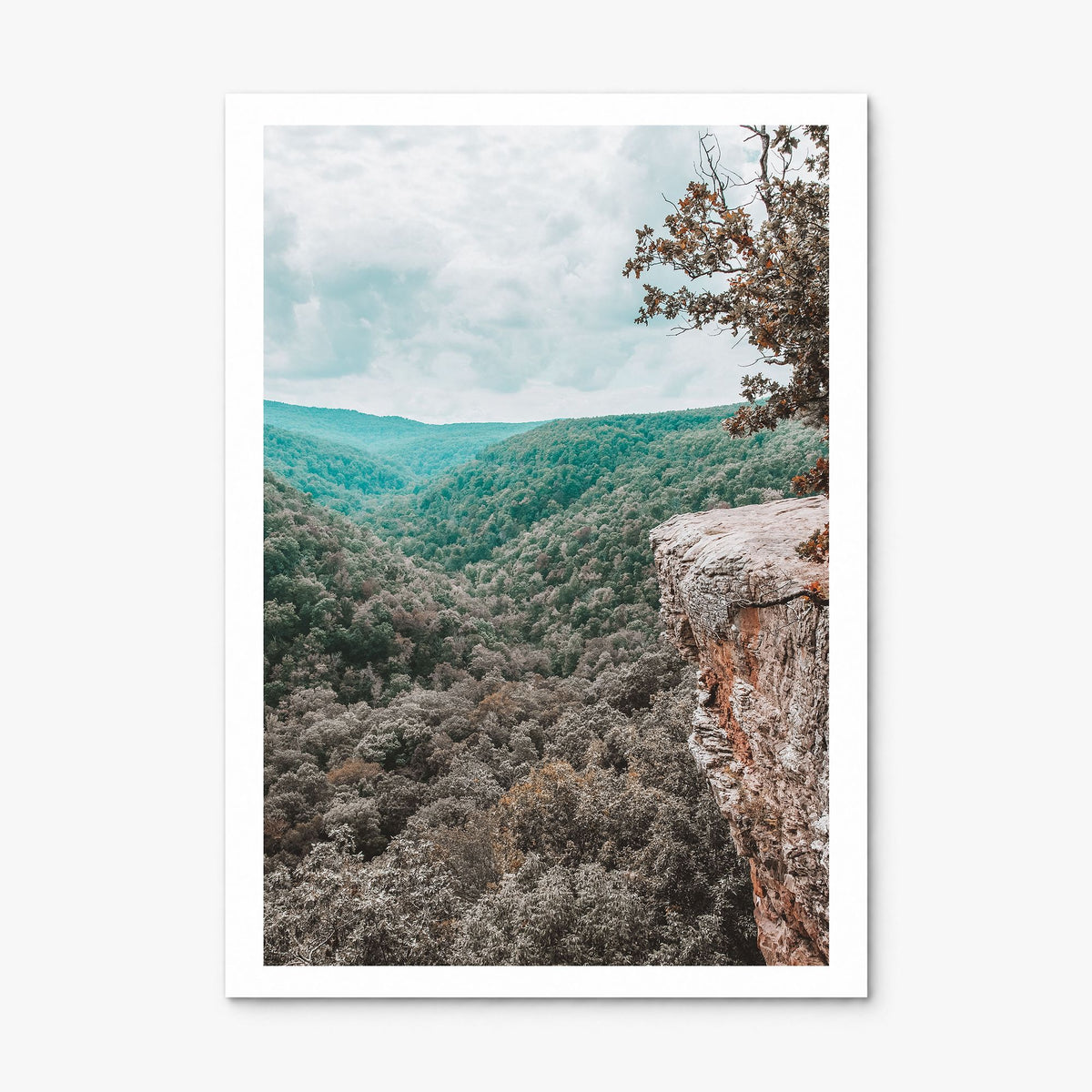 Arkansas Photo No 1 Poster, print only (unframed), white border