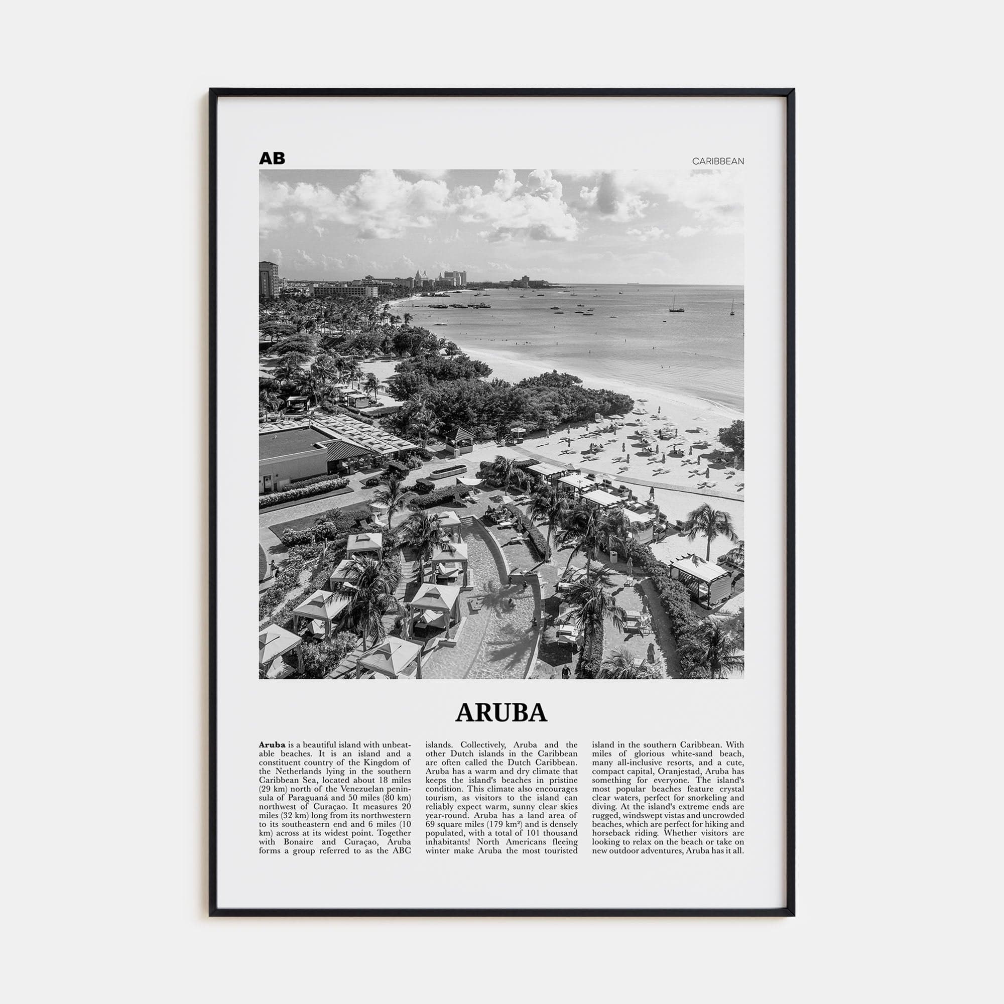 Aruba No 2 Poster None / 8x12 in Nbourhood Travel B&W Poster