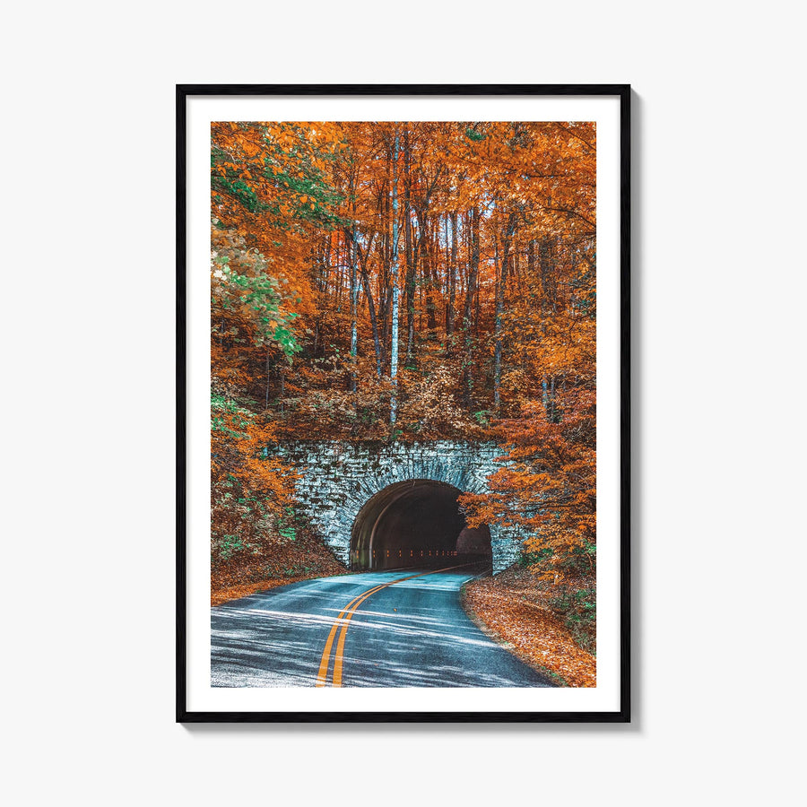 Asheville no. 2 colorful photo poster of North Carolina, USA – vertical wall art, unframed print shown in interior mockup