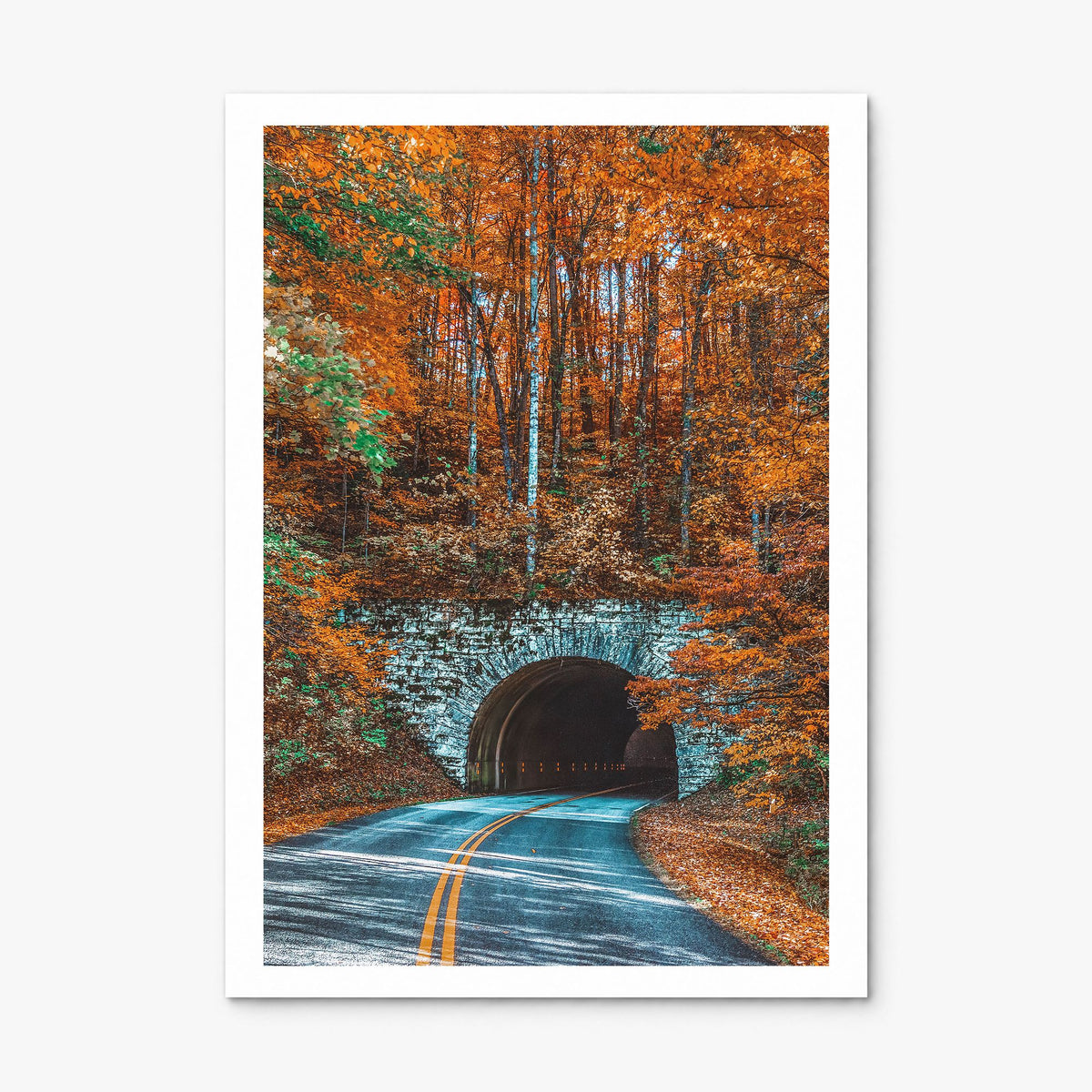 Asheville Photo No 2 Poster, print only (unframed), white border