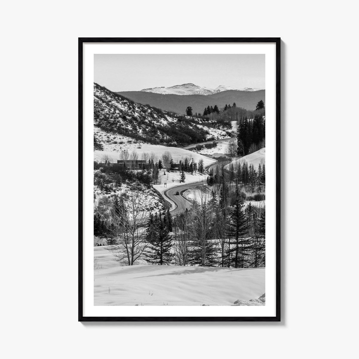 Aspen no. 1 black & white photo poster of Colorado, USA – vertical wall art, unframed print shown in interior mockup