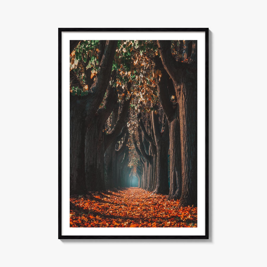 Autumn Morning Walk colorful photo poster – vertical wall art, unframed print shown in interior mockup