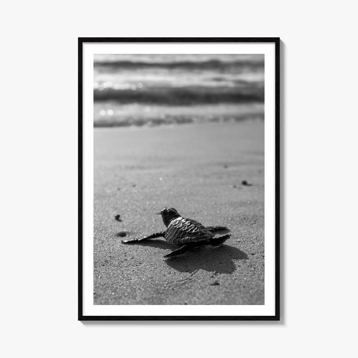 Baby Turtle black & white photo poster – vertical wall art, unframed print shown in interior mockup