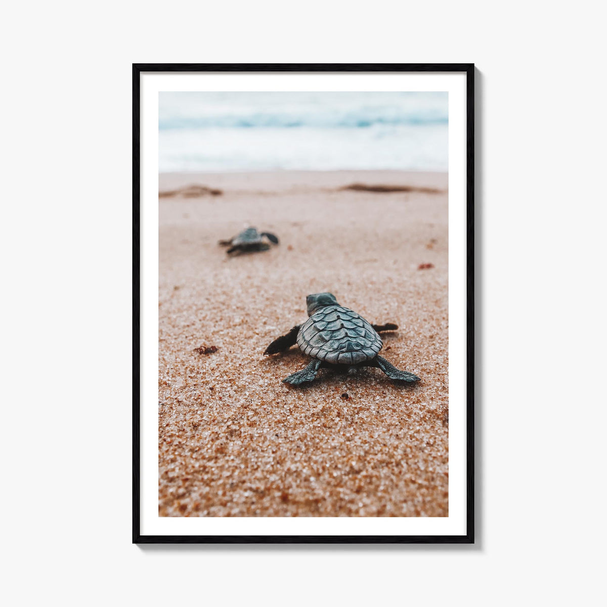 Baby Turtles no. 2 colorful photo poster – vertical wall art, unframed print shown in interior mockup
