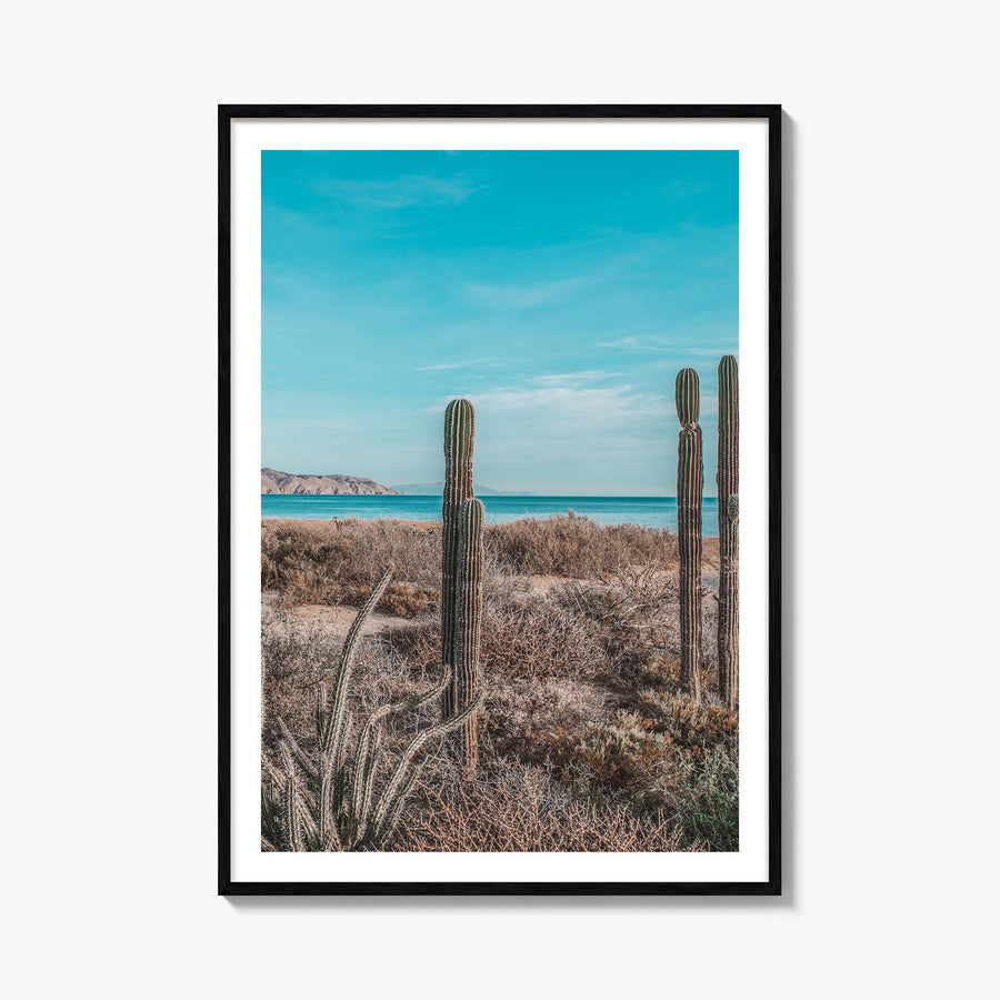 Baja California Sur no. 1 colorful photo poster of Mexico – vertical wall art, unframed print shown in interior mockup