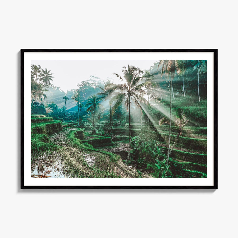 Bali Photo Poster, framed poster mockup, white border