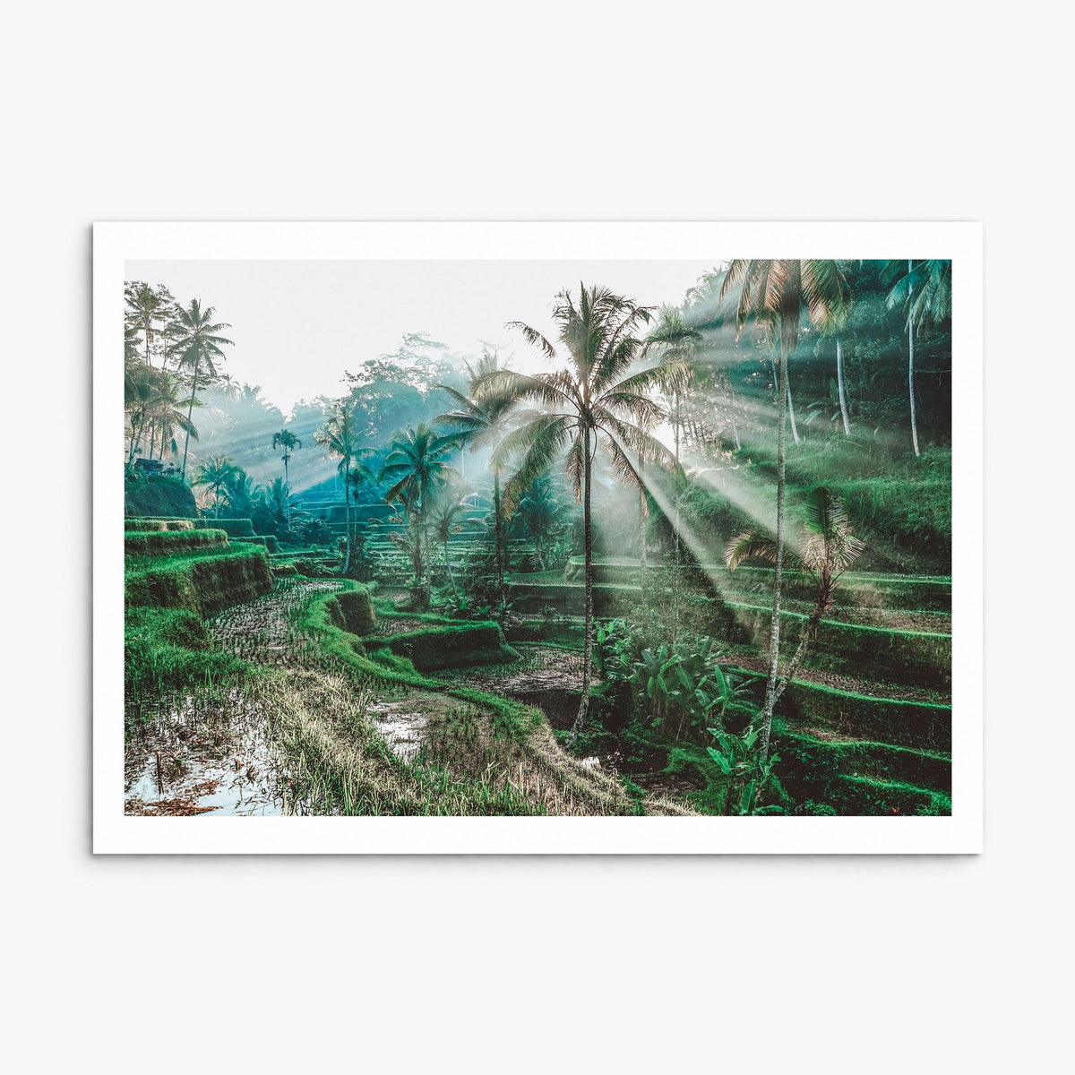 Bali Photo Poster, print only (unframed), white border