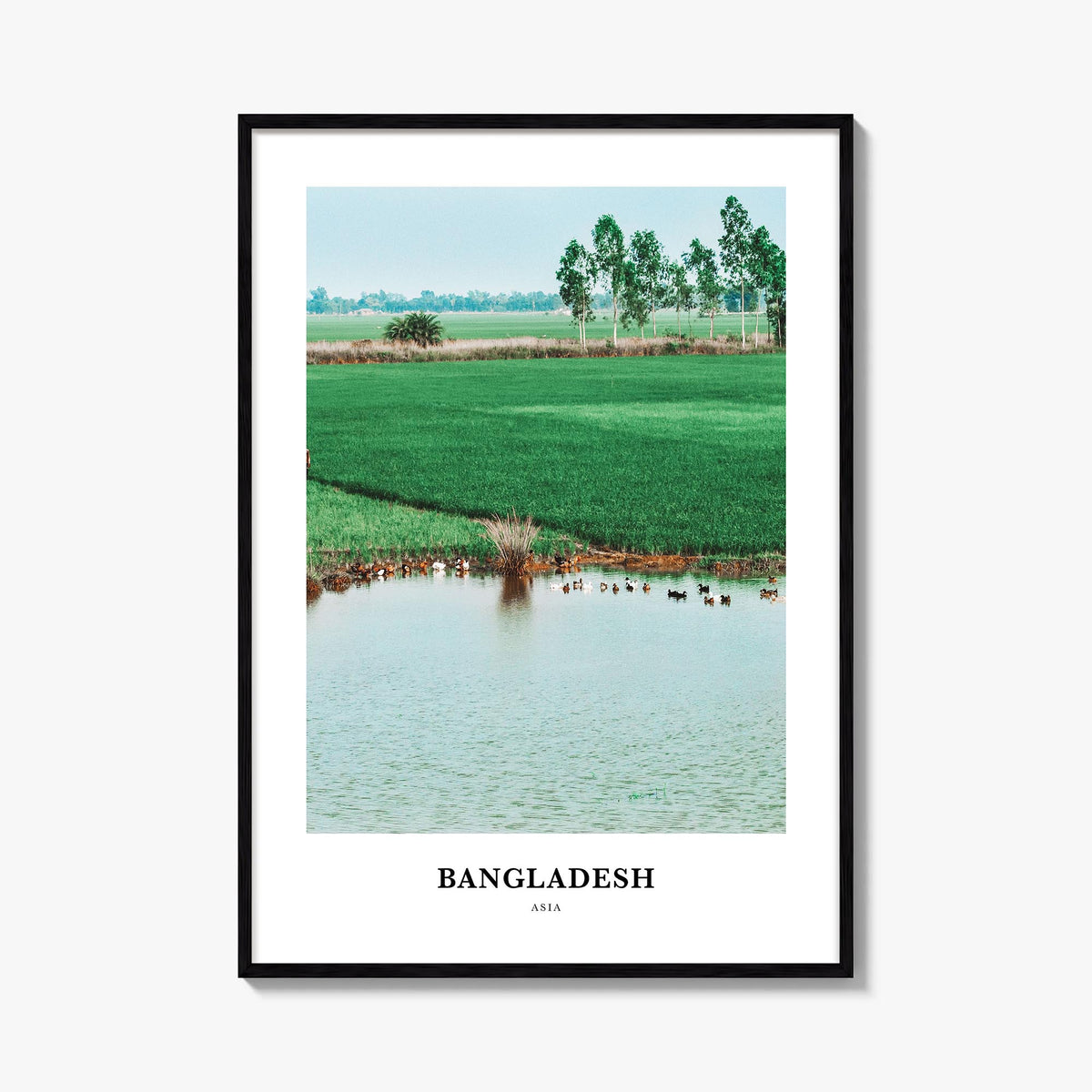 Bangladesh colorful classic poster of Asia – vertical wall art, unframed print shown in interior mockup
