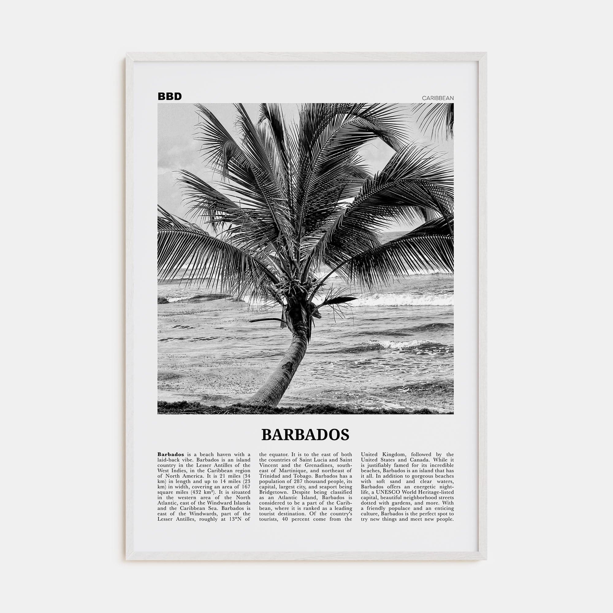 Barbados No 2 Poster White Wood / 8x12 in Nbourhood Travel B&W Poster