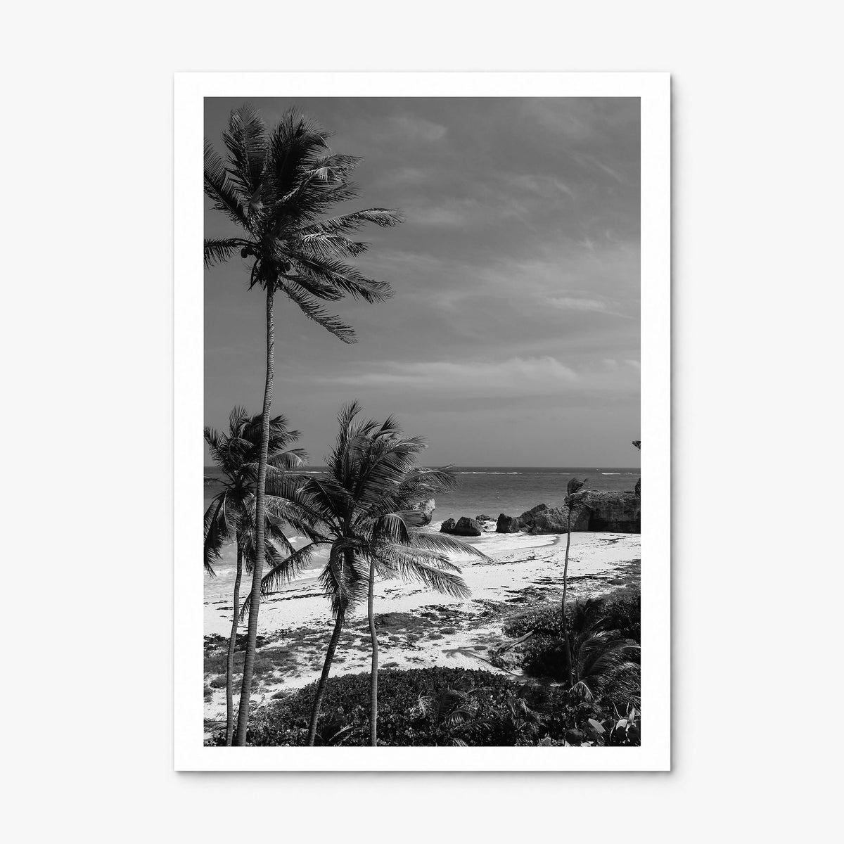 Barbados Photo Poster, print only (unframed), white border