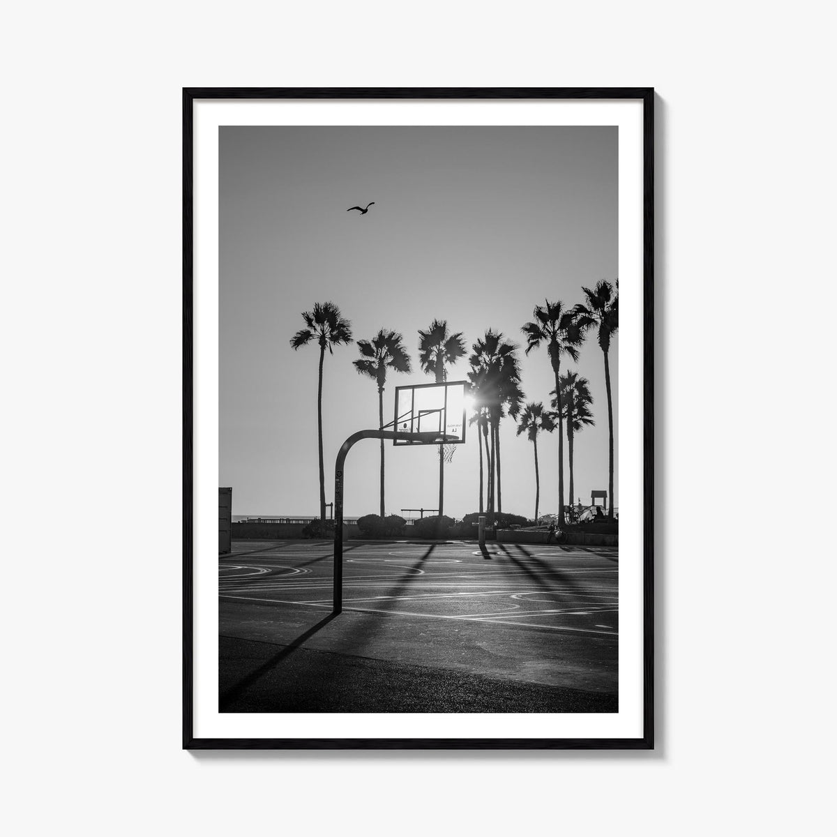 Basketball Court Photo No 4 Poster