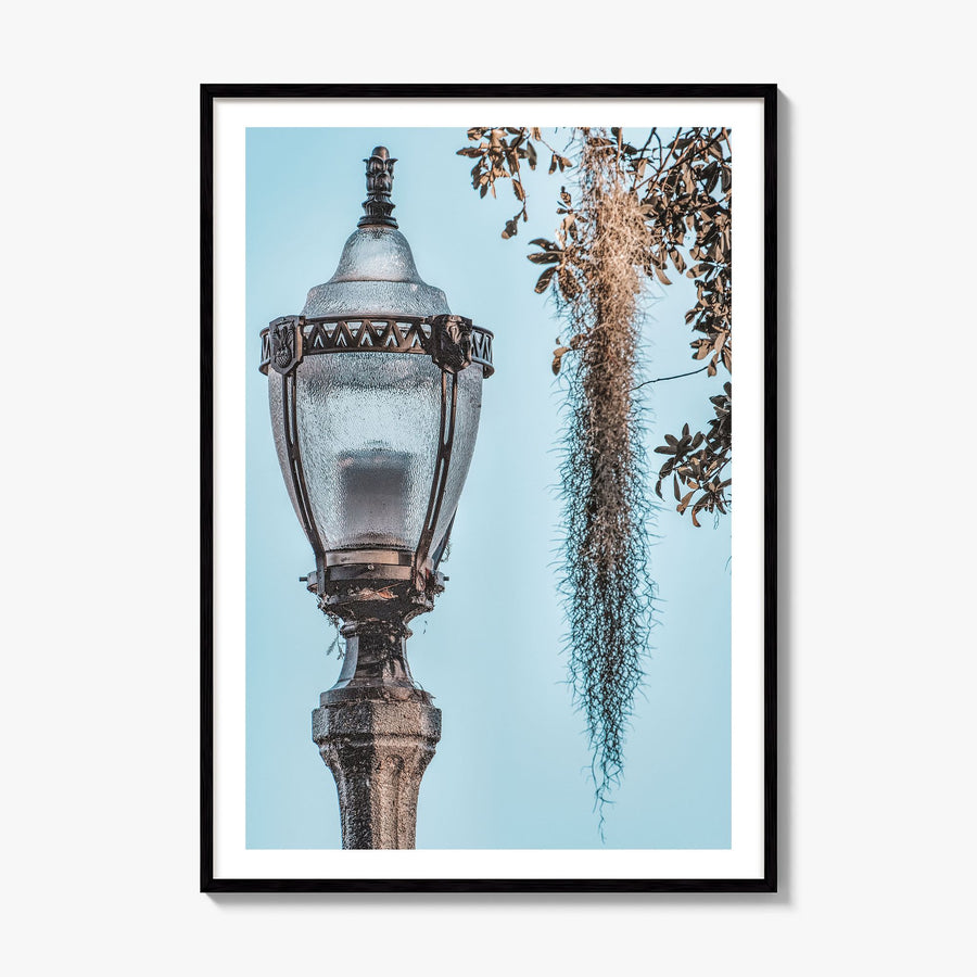 Baton Rouge Photo No 3 Poster, framed poster mockup, white border