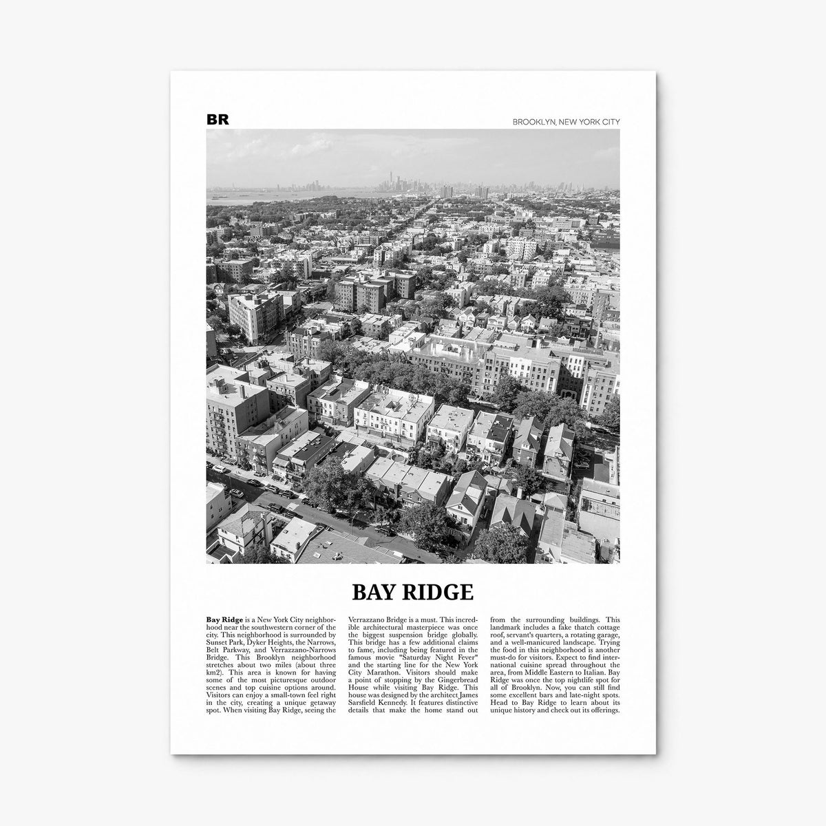 Bay Ridge Newspaper Poster, print only (unframed)