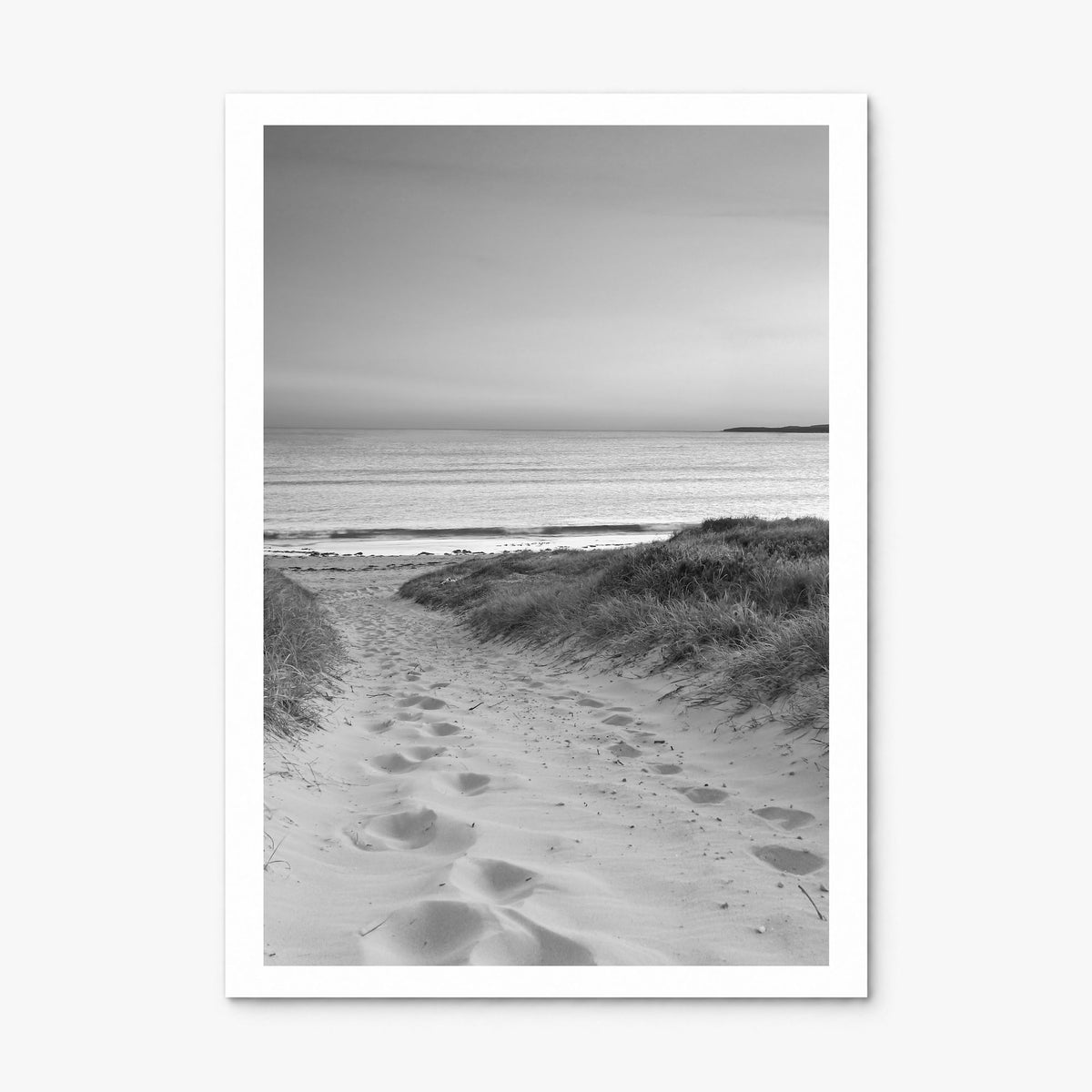Beach Trail Photo No 1 Poster, print only (unframed), white border
