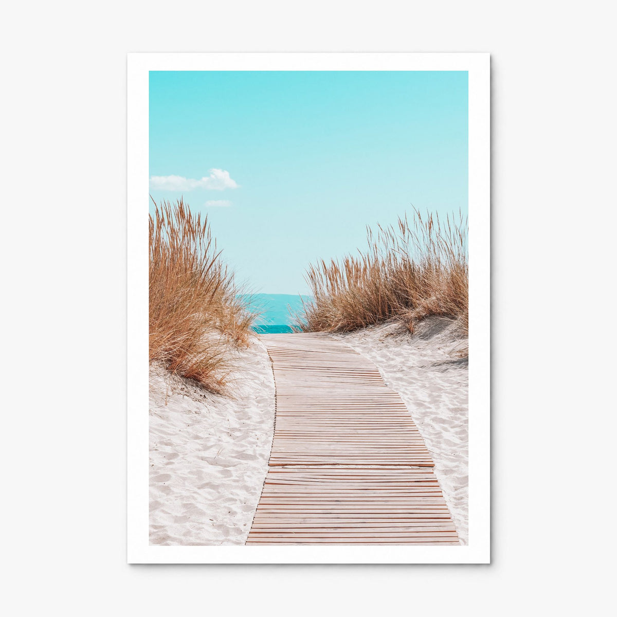 Beach Trail Photo No 4 Poster, print only (unframed), white border