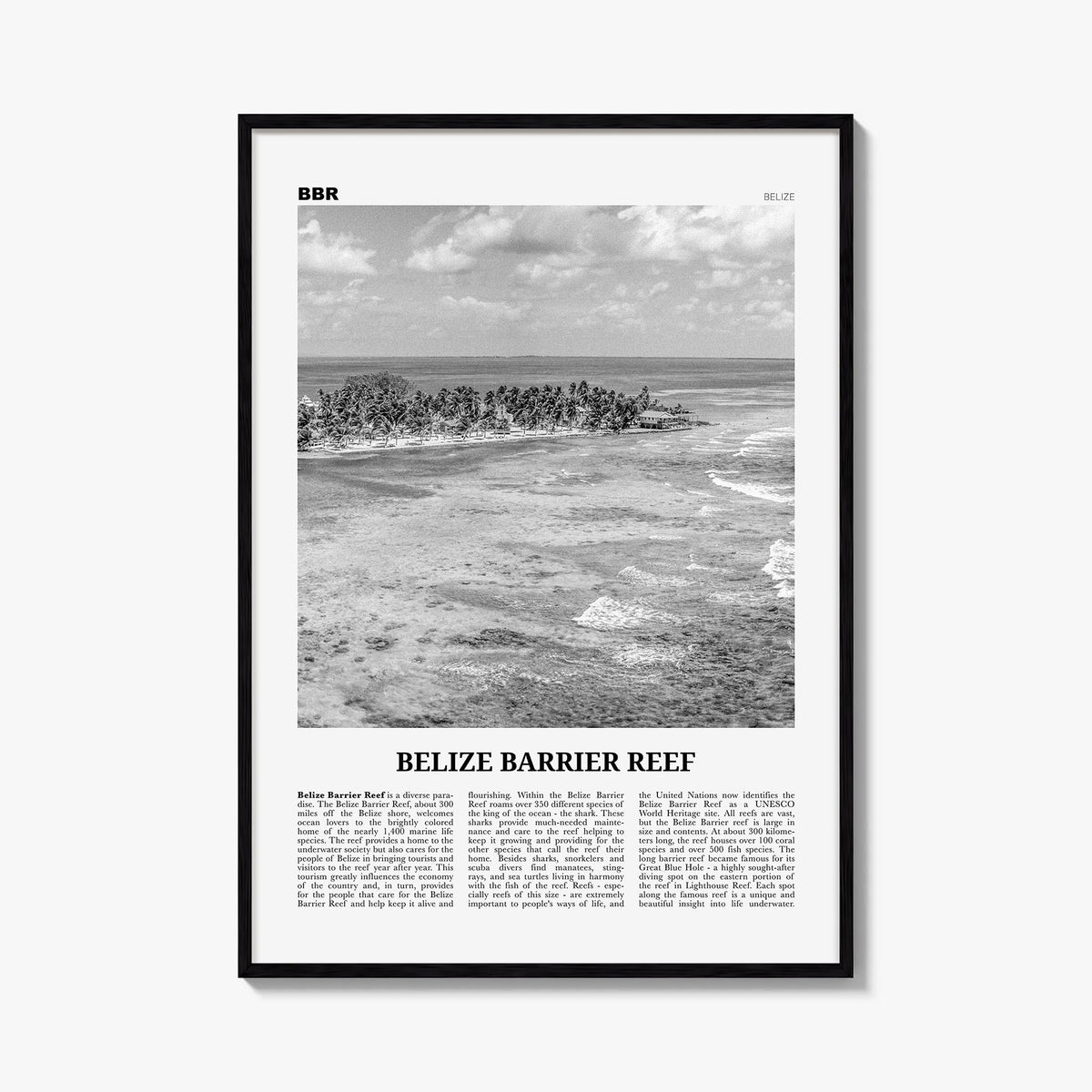 Belize Barrier Reef black & white newspaper poster of Belize – vertical wall art, unframed print shown in interior mockup