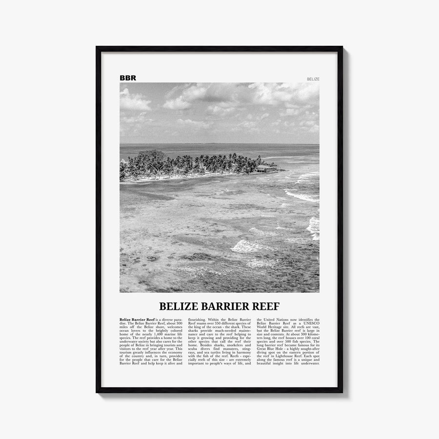 Belize Barrier Reef black & white newspaper poster of Belize – vertical wall art, unframed print shown in interior mockup