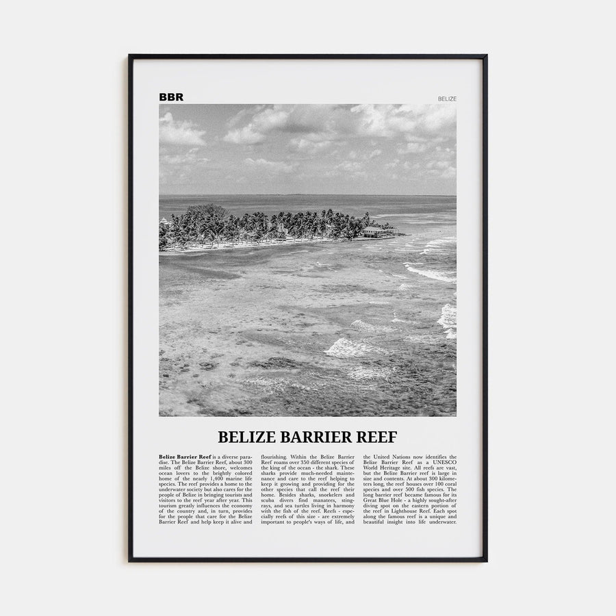 Belize Barrier Reef Poster None / 8x12 in Nbourhood Travel B&W Poster