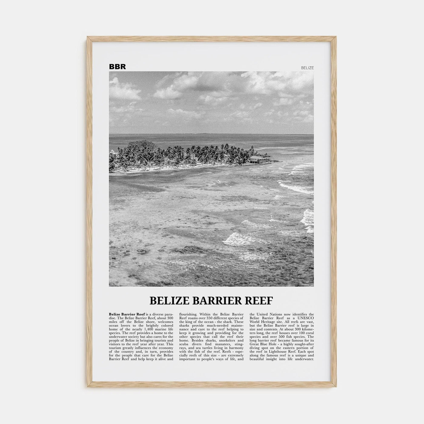 Belize Barrier Reef Poster Natural Wood / 8x12 in Nbourhood Travel B&W Poster