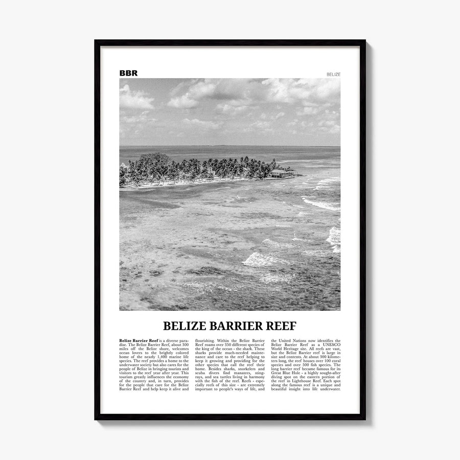 Belize Barrier Reef Newspaper Poster, framed poster mockup